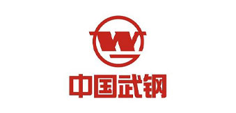 武汉钢铁（集团）公司.jpg